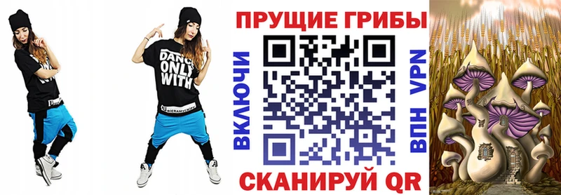 Галлюциногенные грибы Cubensis  Гусиноозёрск 